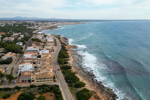 Terra a Campos, Mallorca, Campos - € 169.000 | Ref: 04SBAP382RJ/3010 - foto 12
