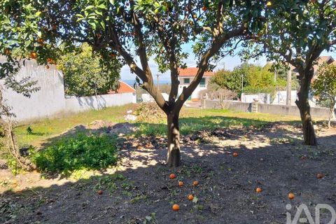 Byhus i Chamusca, Santarem, Chamusca - € 340.000 | Ref: 845030 - foto 9