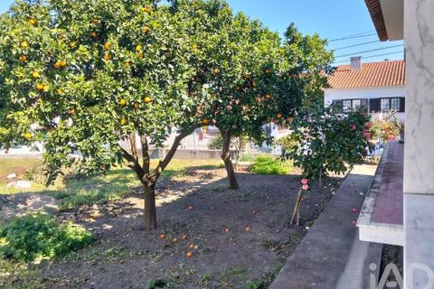 Byhus i Chamusca, Santarem, Chamusca - € 340.000 | Ref: 845030 - foto 40