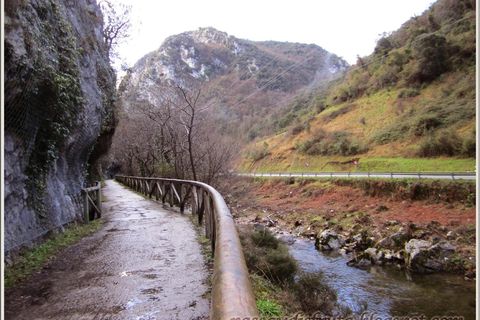Landejendom i Oviedo, Asturias, Oviedo - € 28.000 | Ref: CAS096/6084 - foto 14