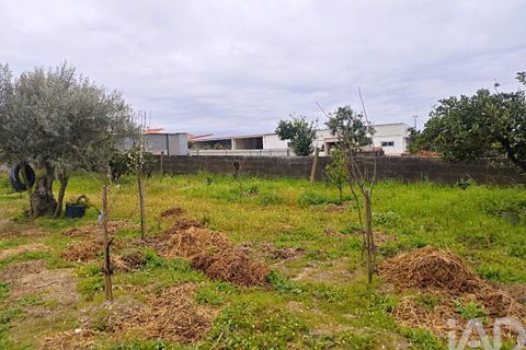 Byhus i Coruche, Santarem, Coruche - € 390.000 | Ref: 850182 - foto 24
