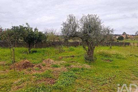 Byhus i Coruche, Santarem, Coruche - € 390.000 | Ref: 850182 - foto 25