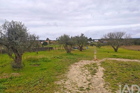 Byhus i Coruche, Santarem, Coruche - € 390.000 | Ref: 850182 - foto 26