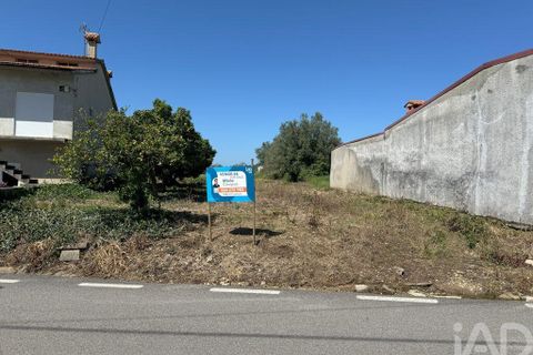 Helårsgrund i Anadia, Aveiro, Anadia - € 34.000 | Ref: 114632 - foto 1