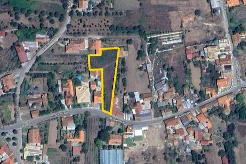 Helårsgrund i Anadia, Aveiro, Anadia - € 34.000 | Ref: 114632 - foto 2