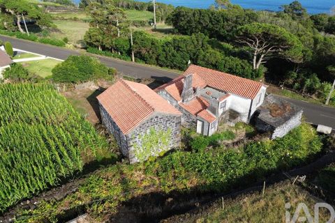 Byhus i Lajes do Pico, Pico, Lajes do Pico - € 125.000 | Ref: 774154 - foto 8