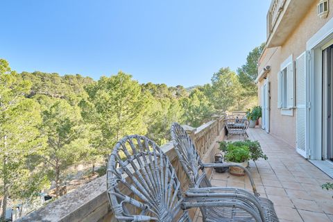 Landejendom i Andratx, Mallorca, Andratx - € 1.990.000 | Ref: 31590001_MG/11003 - foto 20