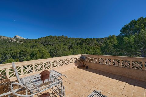 Landejendom i Andratx, Mallorca, Andratx - € 1.990.000 | Ref: 31590001_MG/11003 - foto 28