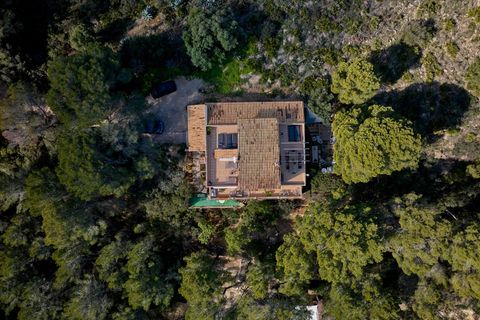 Landejendom i Andratx, Mallorca, Andratx - € 1.990.000 | Ref: 31590001_MG/11003 - foto 31