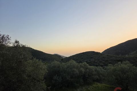 Finca i Itrabo, Granada, Itrabo - € 69.000 | Ref: M710 - foto 11