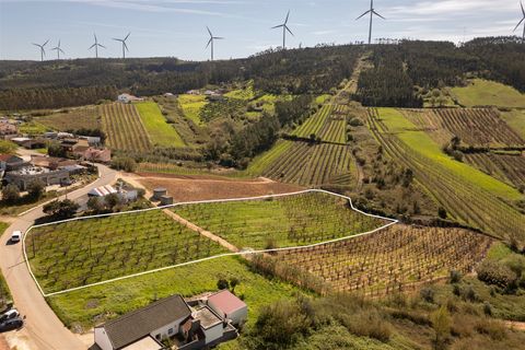 Helårsgrund i Cadaval, Lisbon, Cadaval - € 75.000 | Ref: DH956 - foto 1