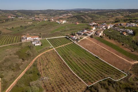Helårsgrund i Cadaval, Lisbon, Cadaval - € 75.000 | Ref: DH956 - foto 2