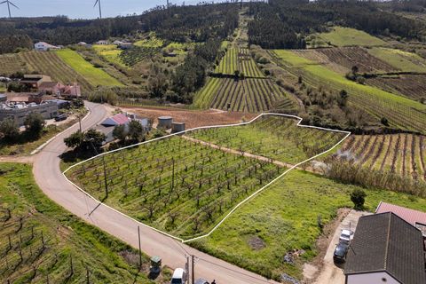 Helårsgrund i Cadaval, Lisbon, Cadaval - € 75.000 | Ref: DH956 - foto 3