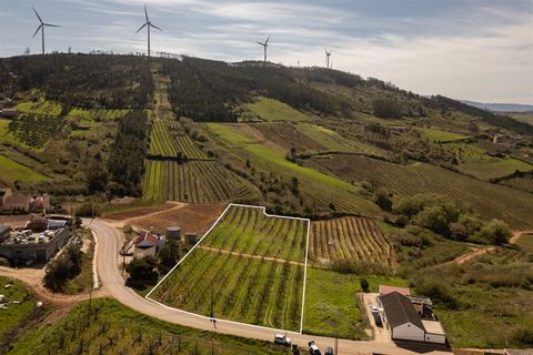 Helårsgrund i Cadaval, Lisbon, Cadaval - € 75.000 | Ref: DH956 - foto 5