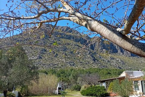 Landejendom i Pollenca, Mallorca, Pollenca - € 1.175.000 | Ref: 332 - foto 14