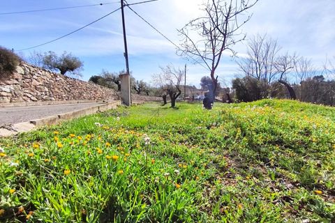 Villa i Banyeres De Mariola, Alicante, Banyeres De Mariola - € 355.000 | Ref: EXP13710/8930 - foto 13