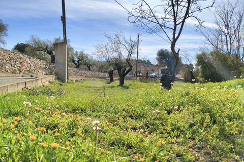 Villa i Banyeres De Mariola, Alicante, Banyeres De Mariola - € 355.000 | Ref: EXP13710/8930 - foto 14