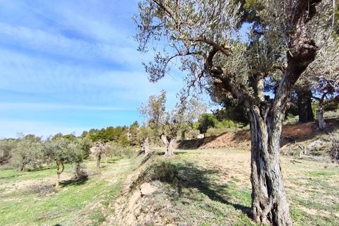 Villa i Banyeres De Mariola, Alicante, Banyeres De Mariola - € 355.000 | Ref: EXP13710/8930 - foto 21