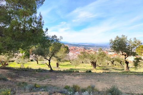 Villa i Banyeres De Mariola, Alicante, Banyeres De Mariola - € 355.000 | Ref: EXP13710/8930 - foto 25