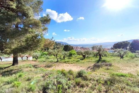 Villa i Banyeres De Mariola, Alicante, Banyeres De Mariola - € 355.000 | Ref: EXP13710/8930 - foto 27