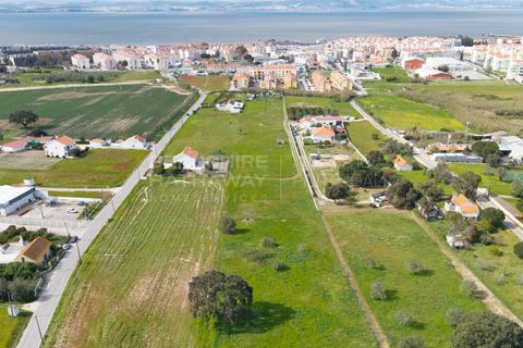 Helårsgrund i Alcochete, Setubal, Alcochete - € 3.000.000 | Ref: TER_1138 - foto 2