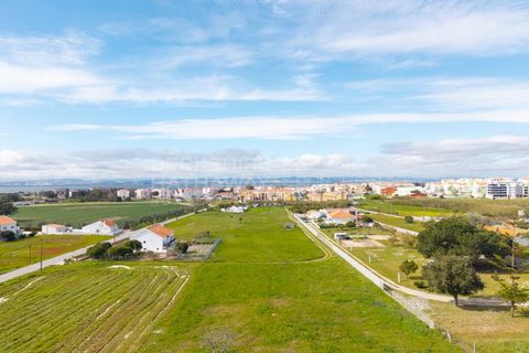 Helårsgrund i Alcochete, Setubal, Alcochete - € 3.000.000 | Ref: TER_1138 - foto 3