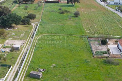 Helårsgrund i Alcochete, Setubal, Alcochete - € 3.000.000 | Ref: TER_1138 - foto 8
