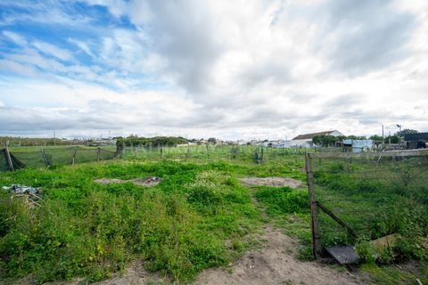 Helårsgrund i Alcochete, Setubal, Alcochete - € 3.000.000 | Ref: TER_1138 - foto 10