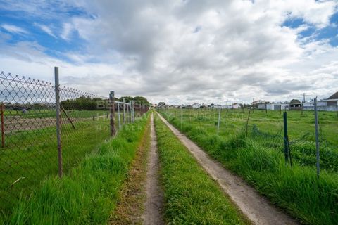Helårsgrund i Alcochete, Setubal, Alcochete - € 3.000.000 | Ref: TER_1138 - foto 12