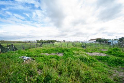 Helårsgrund i Alcochete, Setubal, Alcochete - € 3.000.000 | Ref: TER_1138 - foto 13