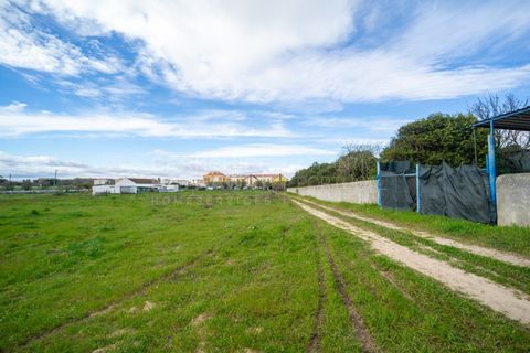 Helårsgrund i Alcochete, Setubal, Alcochete - € 3.000.000 | Ref: TER_1138 - foto 14