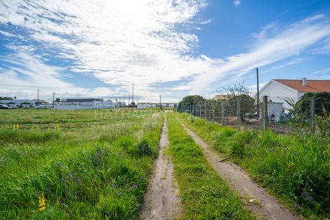 Helårsgrund i Alcochete, Setubal, Alcochete - € 3.000.000 | Ref: TER_1138 - foto 16