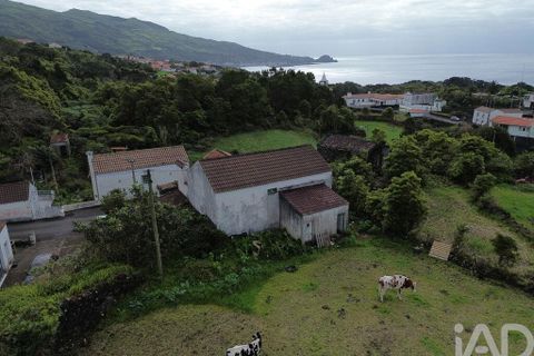 Byhus i Lajes do Pico, Pico, Lajes do Pico - € 120.000 | Ref: 842509 - foto 3