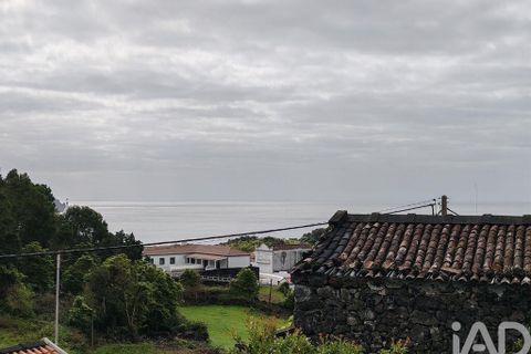 Byhus i Lajes do Pico, Pico, Lajes do Pico - € 120.000 | Ref: 842509 - foto 6