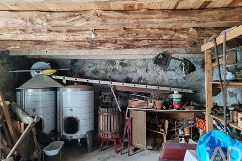 Byhus i Lajes do Pico, Pico, Lajes do Pico - € 120.000 | Ref: 842509 - foto 8