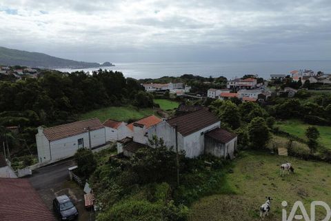 Byhus i Lajes do Pico, Pico, Lajes do Pico - € 120.000 | Ref: 842509 - foto 9