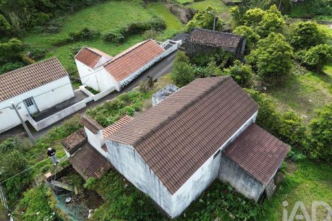 Byhus i Lajes do Pico, Pico, Lajes do Pico - € 120.000 | Ref: 842509 - foto 11