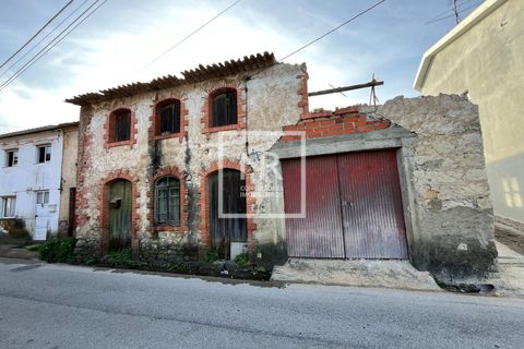 Villa a Mealhada, Aveiro, Mealhada - € 57.000 | Ref: 35/2026 MS - foto 4
