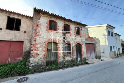 Villa a Mealhada, Aveiro, Mealhada - € 57.000 | Ref: 35/2026 MS - foto 5