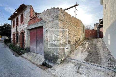 Villa a Mealhada, Aveiro, Mealhada - € 57.000 | Ref: 35/2026 MS - foto 7