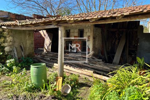 Villa a Mealhada, Aveiro, Mealhada - € 57.000 | Ref: 35/2026 MS - foto 16