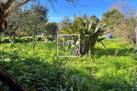 Villa a Mealhada, Aveiro, Mealhada - € 57.000 | Ref: 35/2026 MS - foto 17