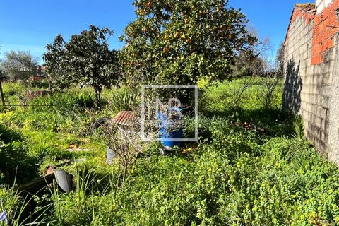 Villa a Mealhada, Aveiro, Mealhada - € 57.000 | Ref: 35/2026 MS - foto 18