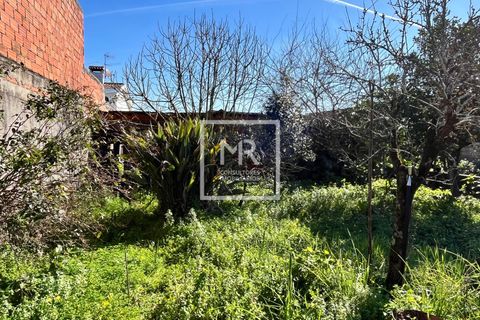 Villa a Mealhada, Aveiro, Mealhada - € 57.000 | Ref: 35/2026 MS - foto 22