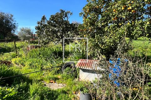 Villa a Mealhada, Aveiro, Mealhada - € 57.000 | Ref: 35/2026 MS - foto 23