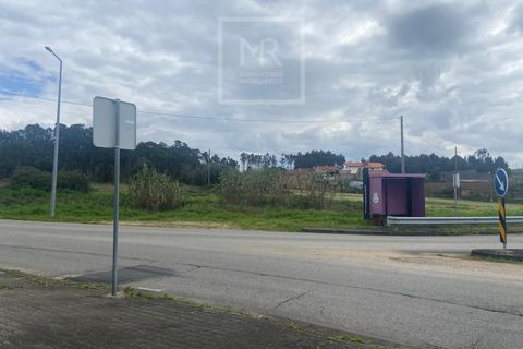 Helårsgrund i Anadia, Aveiro, Anadia - € 110.000 | Ref: 31/2026 - foto 2