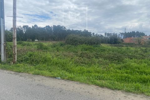 Helårsgrund i Anadia, Aveiro, Anadia - € 110.000 | Ref: 31/2026 - foto 3