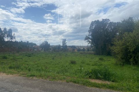 Helårsgrund i Anadia, Aveiro, Anadia - € 110.000 | Ref: 31/2026 - foto 4