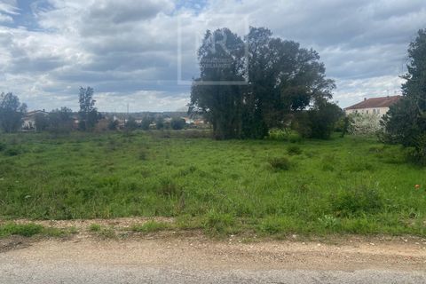Helårsgrund i Anadia, Aveiro, Anadia - € 110.000 | Ref: 31/2026 - foto 5