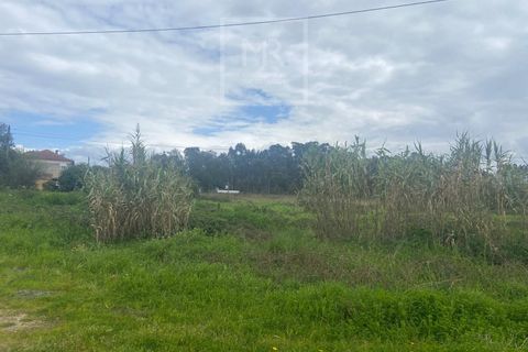 Helårsgrund i Anadia, Aveiro, Anadia - € 110.000 | Ref: 31/2026 - foto 6